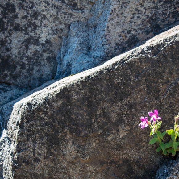 2nd Hand Wins...! - Picture 14 of 16